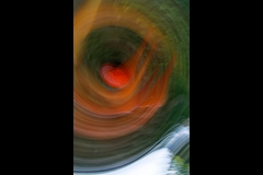 DNL_20181001_151640