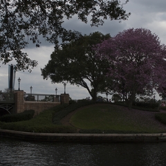 DNL_20090127_153306