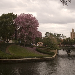 DNL_20090127_153438