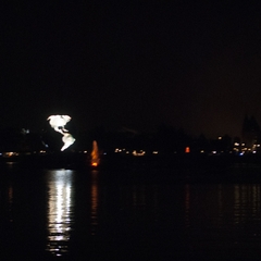 DNL_20090127_210900