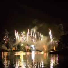 DNL_20090127_211200