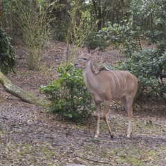 DNL_20090128_120840
