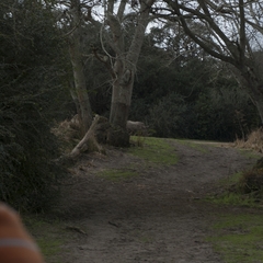 DNL_20090128_121958