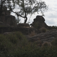 DNL_20090128_122150