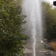 DNL_20090128_122354