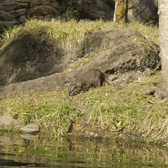 DNL_20090128_142708_01
