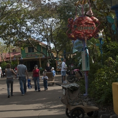 DNL_20090128_143050