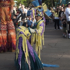 DNL_20090128_162532