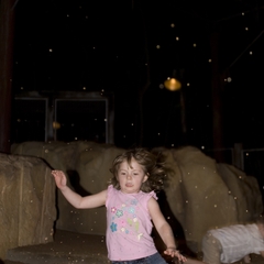 DNL_20090128_183514