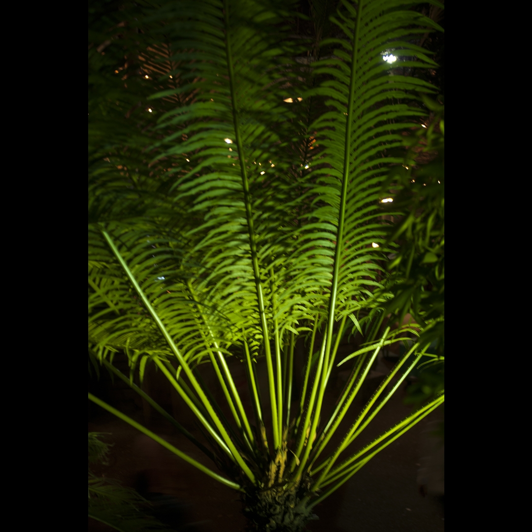 DNL_20090128_184750