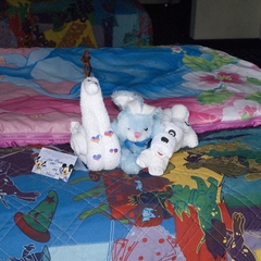 DNL_20090130_124034
