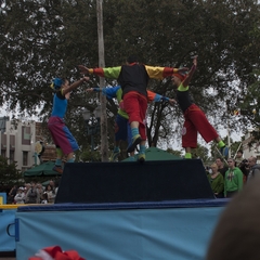 DNL_20090130_151108
