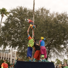 DNL_20090130_151334