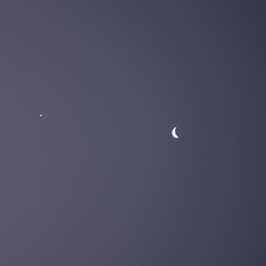 DNL_20090130_182108