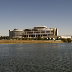 DNL_20090131_124546