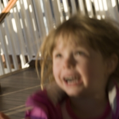 DNL_20090131_171108