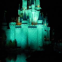 DNL_20090131_211238