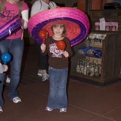 DNL_20090201_135710
