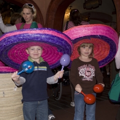 DNL_20090201_135720