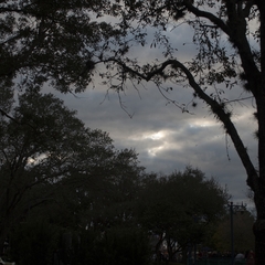 DNL_20090201_172700