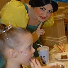 DNL_20090201_205656