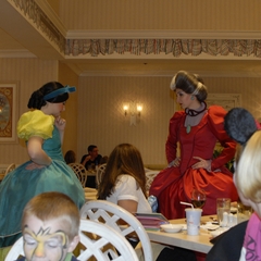 DNL_20090201_205718
