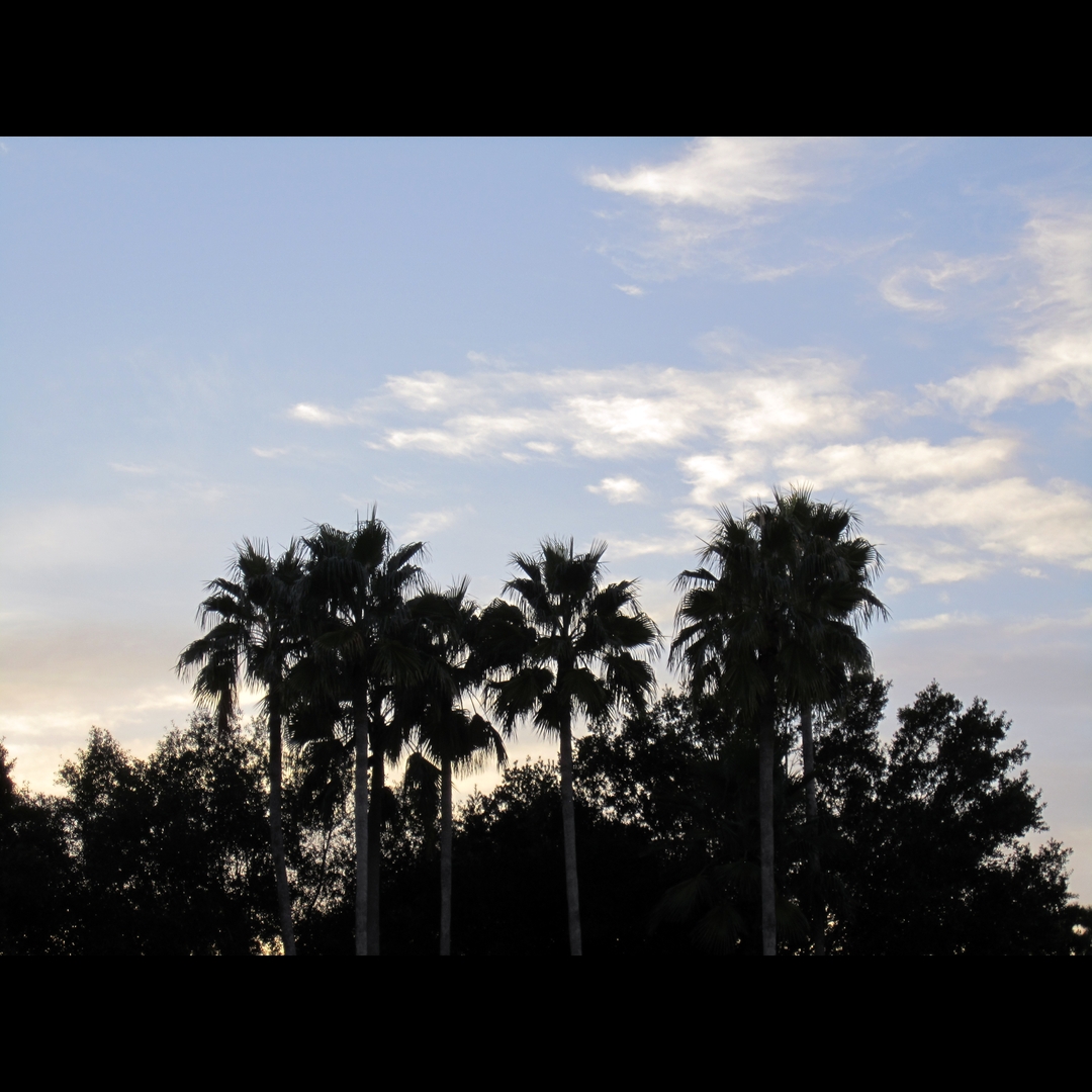 DNL_20150922_191038