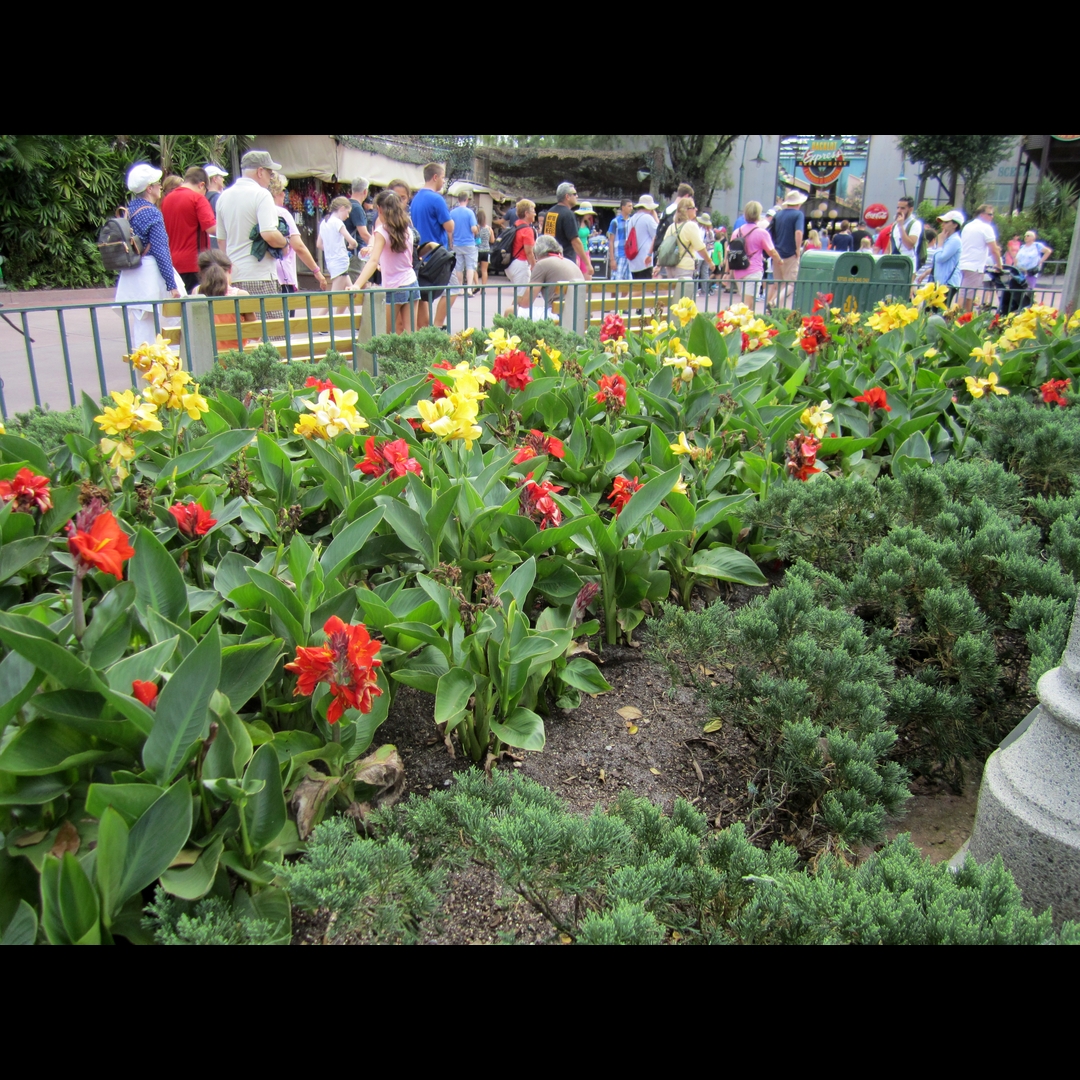 DNL_20150923_130203