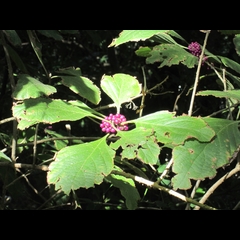 DNL_20150924_162543