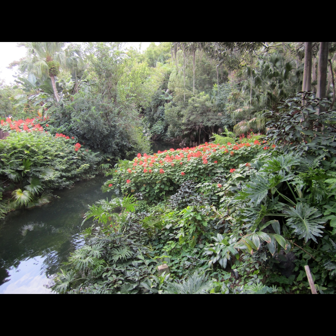 DNL_20150924_174843