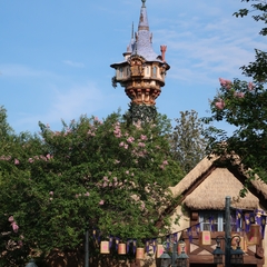 IMG_1023