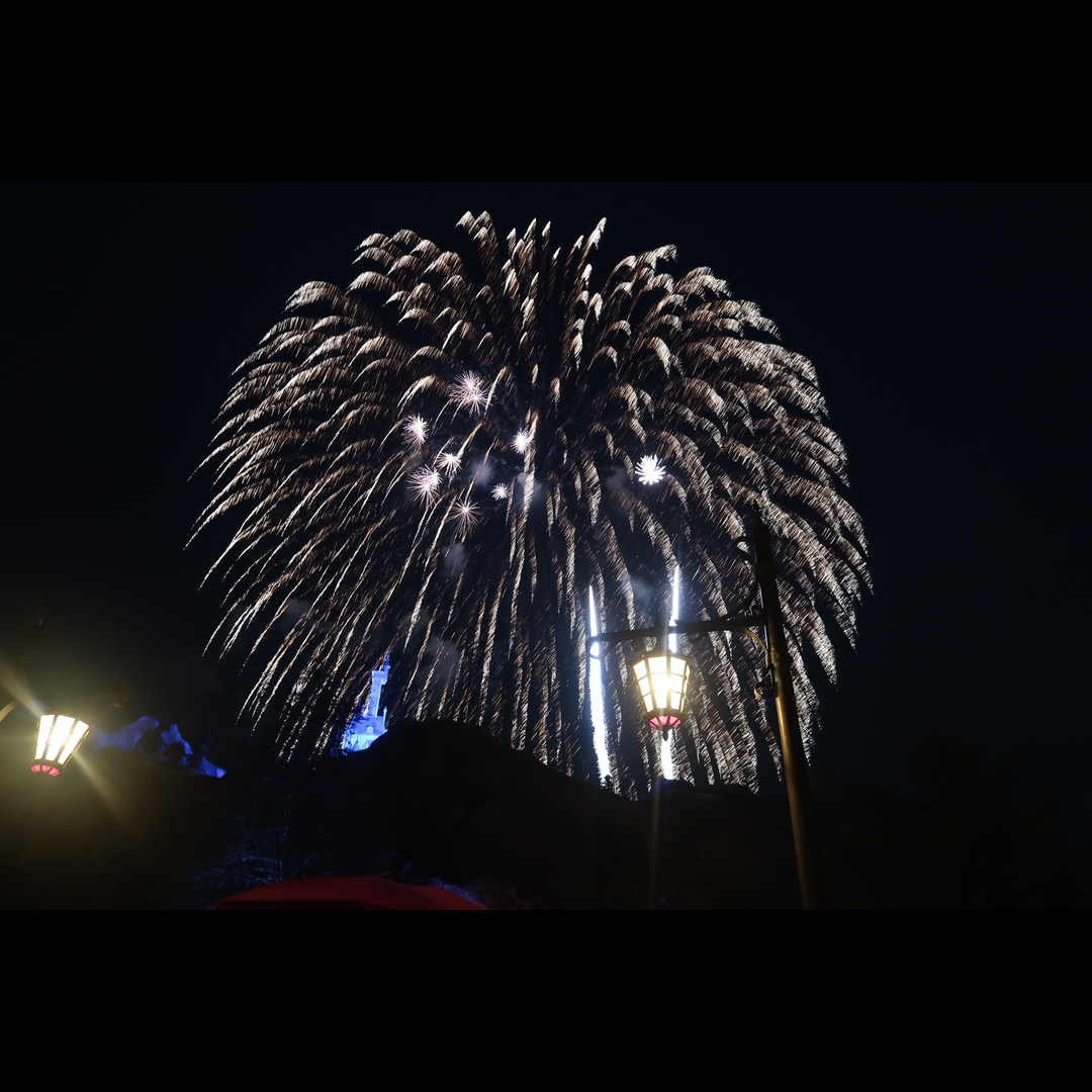 IMG_4667