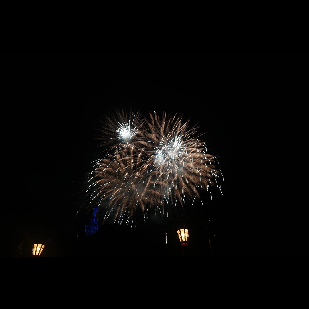 IMG_4782