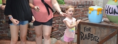 MK_FNTSCHR1_20180719_412545876835