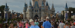 MK_MSBRCART_20180719_412550619462