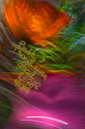 %_tempFileNameReality-Thank-You%