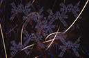 %_tempFileNameSparcz-of-KnoWell%