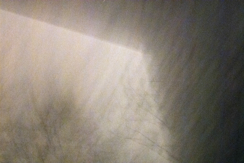 %_tempFileNameTrees-Storm-Dance-the-House%