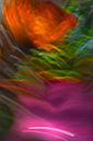 %_tempFileNameAmber-The-Universe-Seas-You%