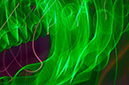 %_tempFileNameBC-II%