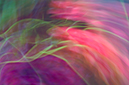 %_tempFileNameBC-XVII%