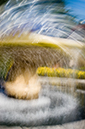 %_tempFileNameFlowers-Fountain%