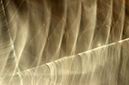 %_tempFileNameFountain-Fan%