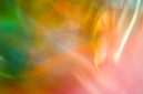 %_tempFileNameImg2004-08-24-185001%