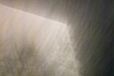 %_tempFileNameTrees-Storm-Dance-the-House%